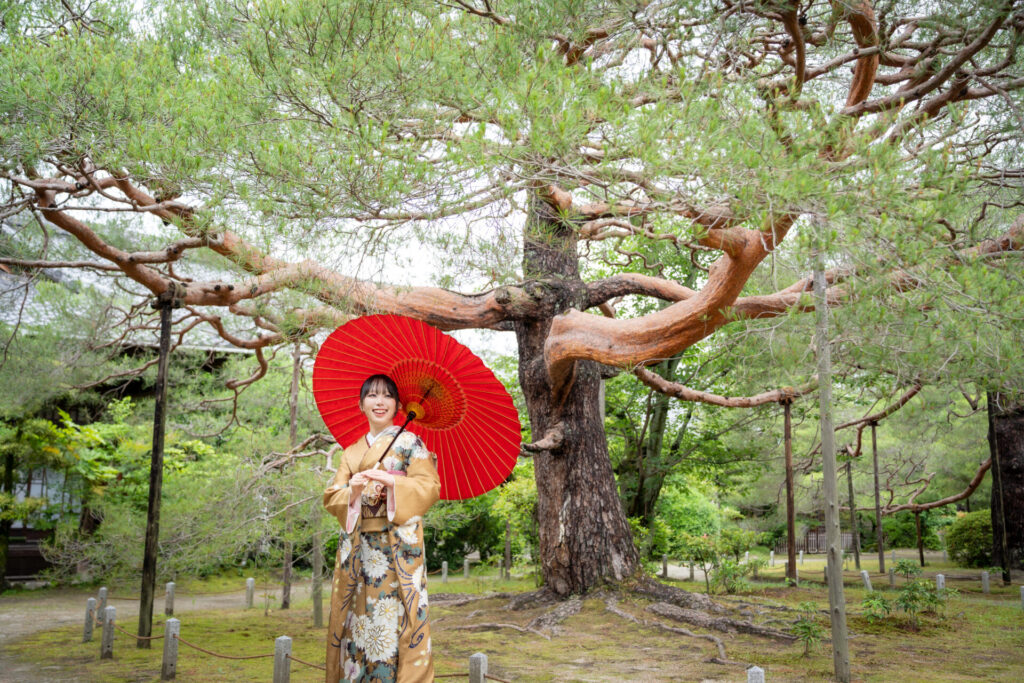 【平安神宮成人式前撮り 神苑での一枚】
静けさと手入れをされた木々の緑に包まれた神苑にて。
赤の番傘が引き立ててくれます。
まるで時間がゆっくりと流れているかのような、穏やかな一枚になりました。
華やかな装いと自然の美しさが溶け合う、特別な前撮り時間です。